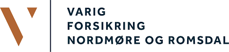 varig logo
